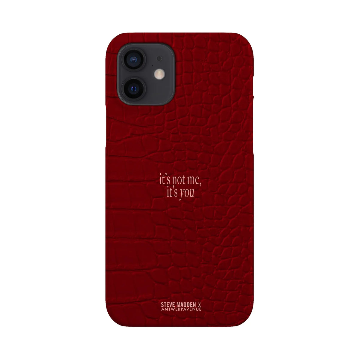 It's not me, it's you - Case - iPhone 12 Snap mockup