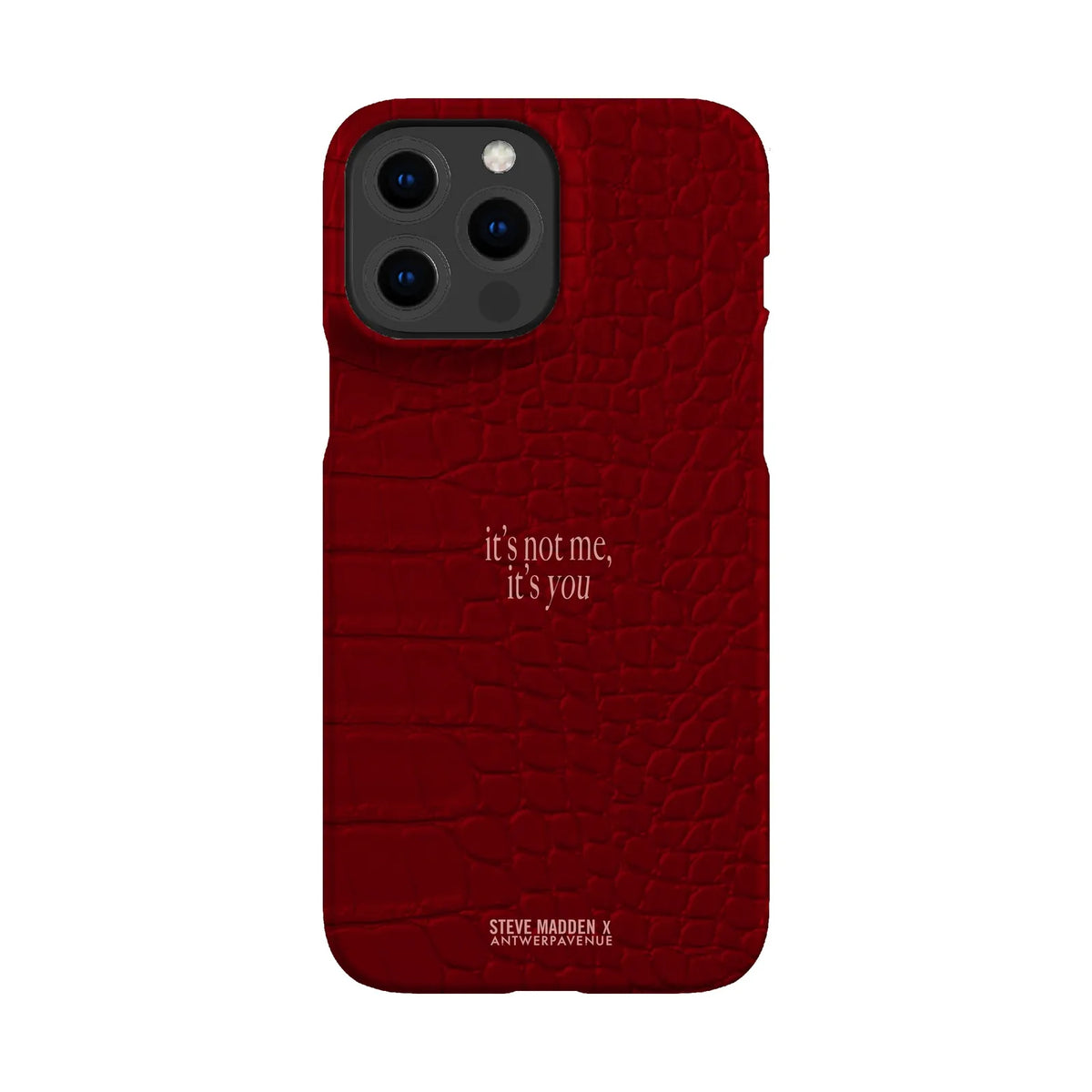 It's not me, it's you - Case - iPhone 13 Pro Max Snap mockup