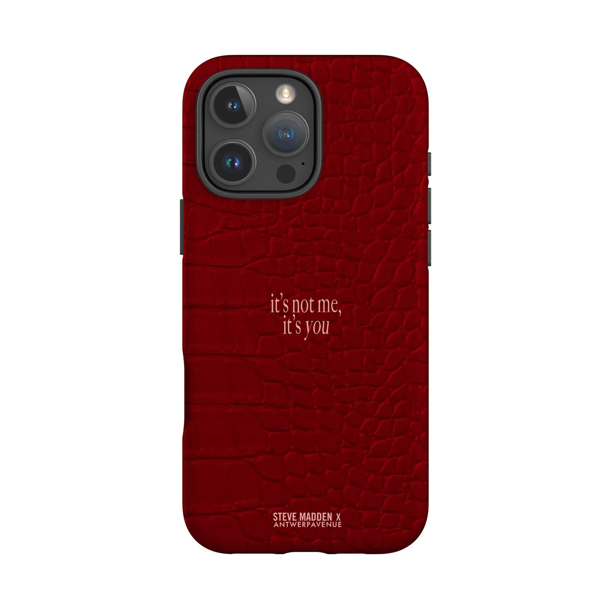 It's not me, it's you - Case - iPhone 16 Pro Max MagSafe mockup