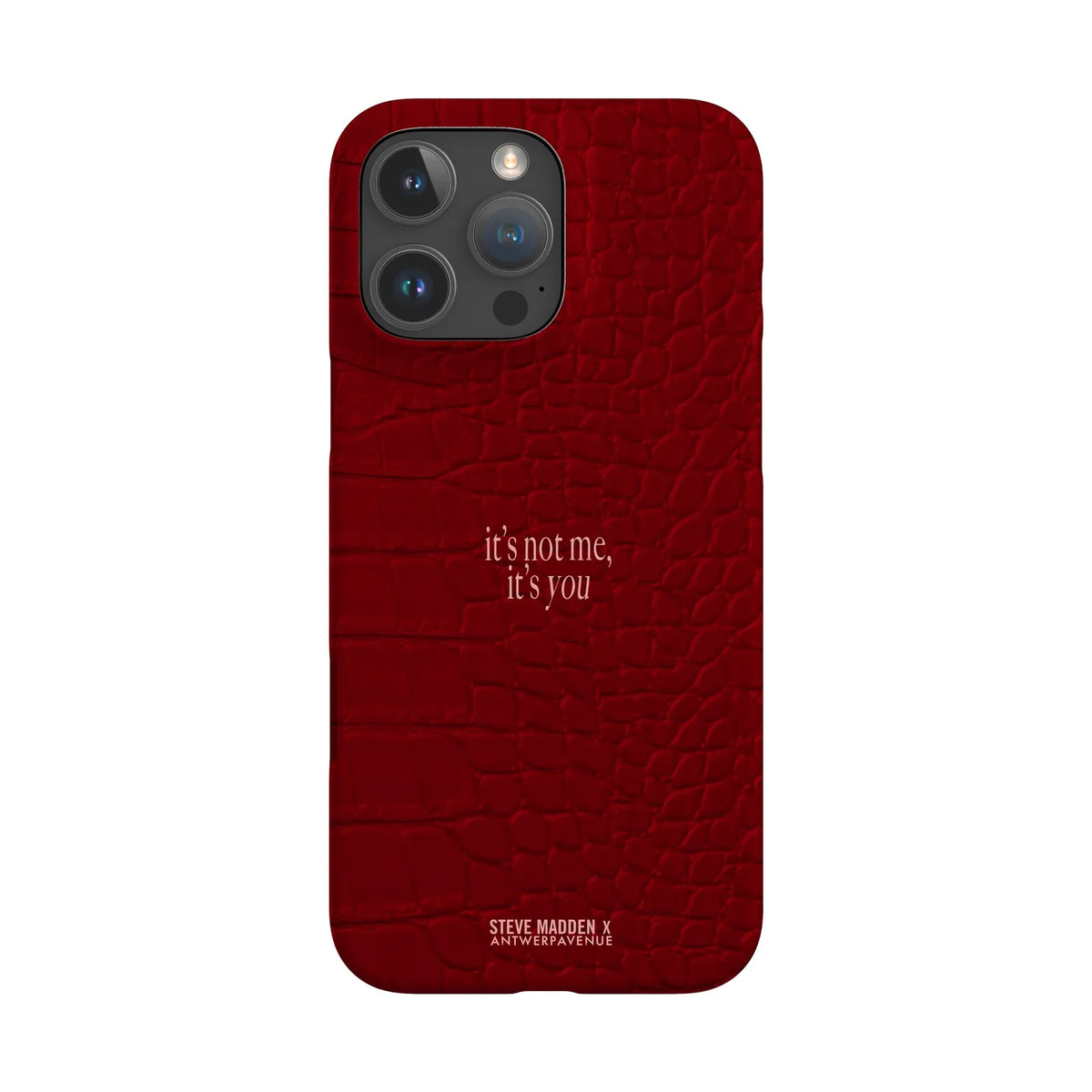 It's not me, it's you - Case - iPhone 16 Pro Max Snap mockup
