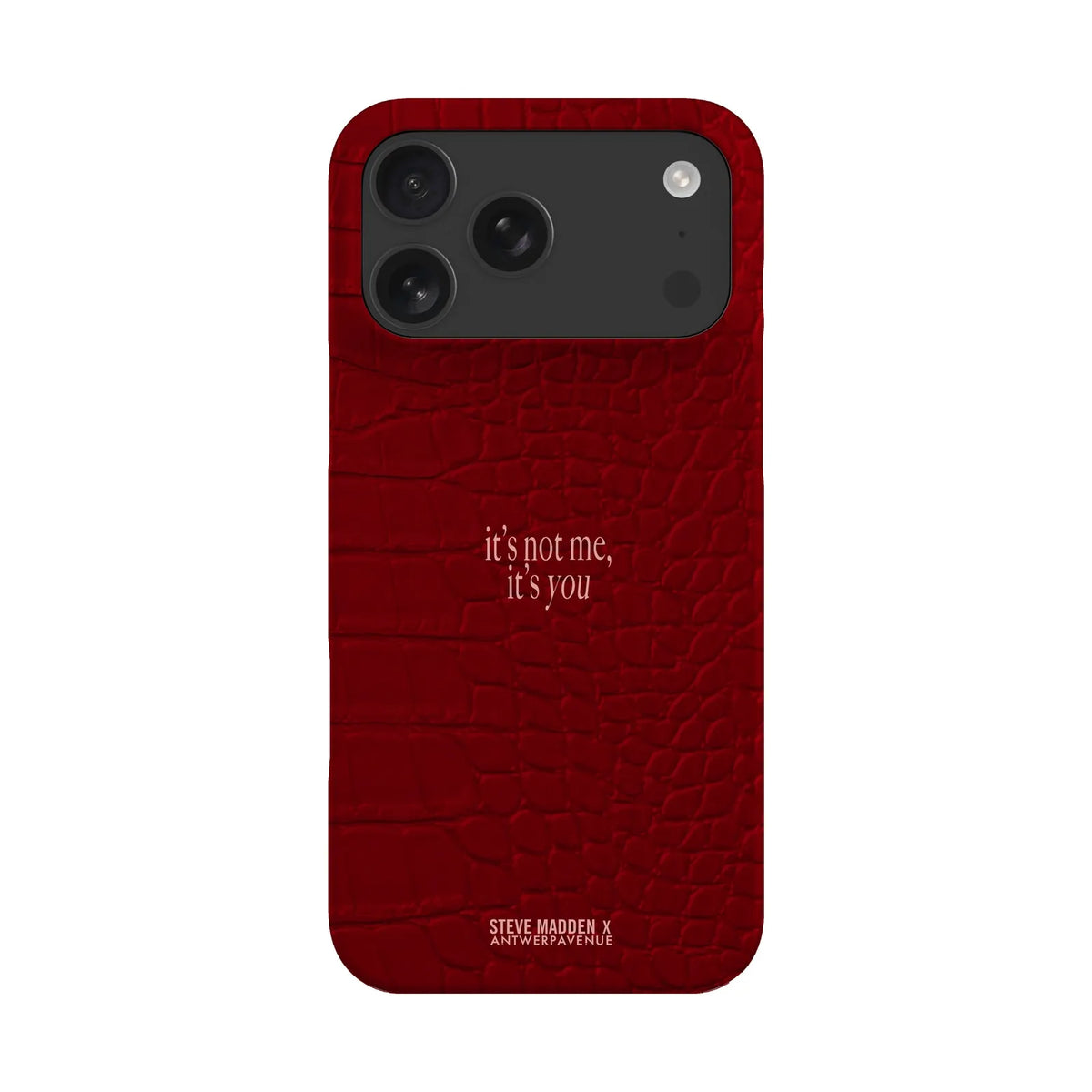It's not me, it's you - Case - iPhone 17 Pro Max Snap mockup