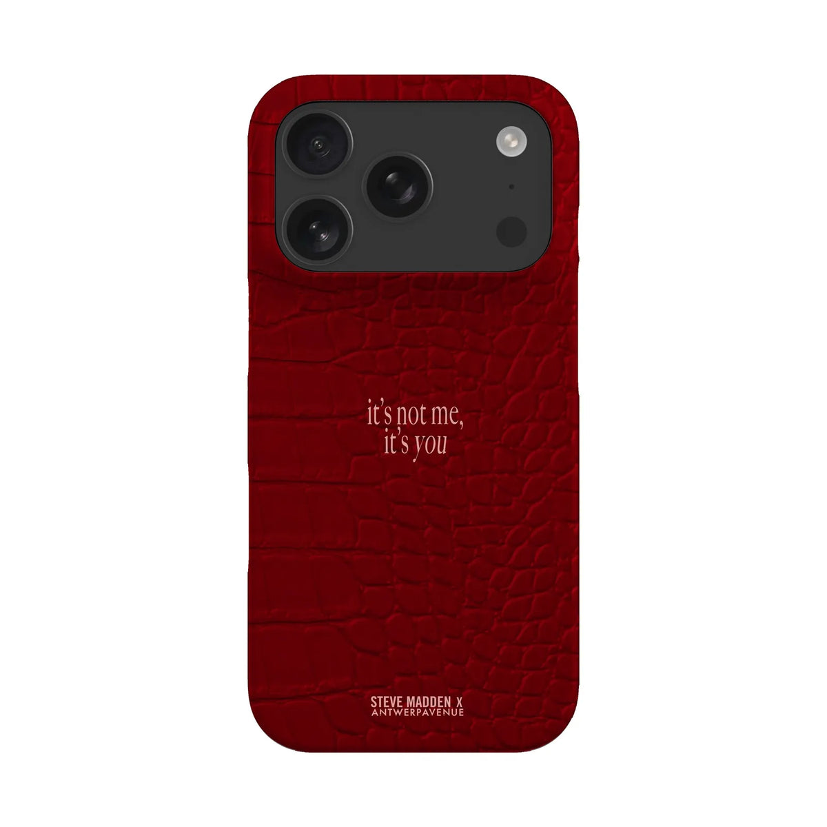 It's not me, it's you - Case - iPhone 17 Pro Snap mockup