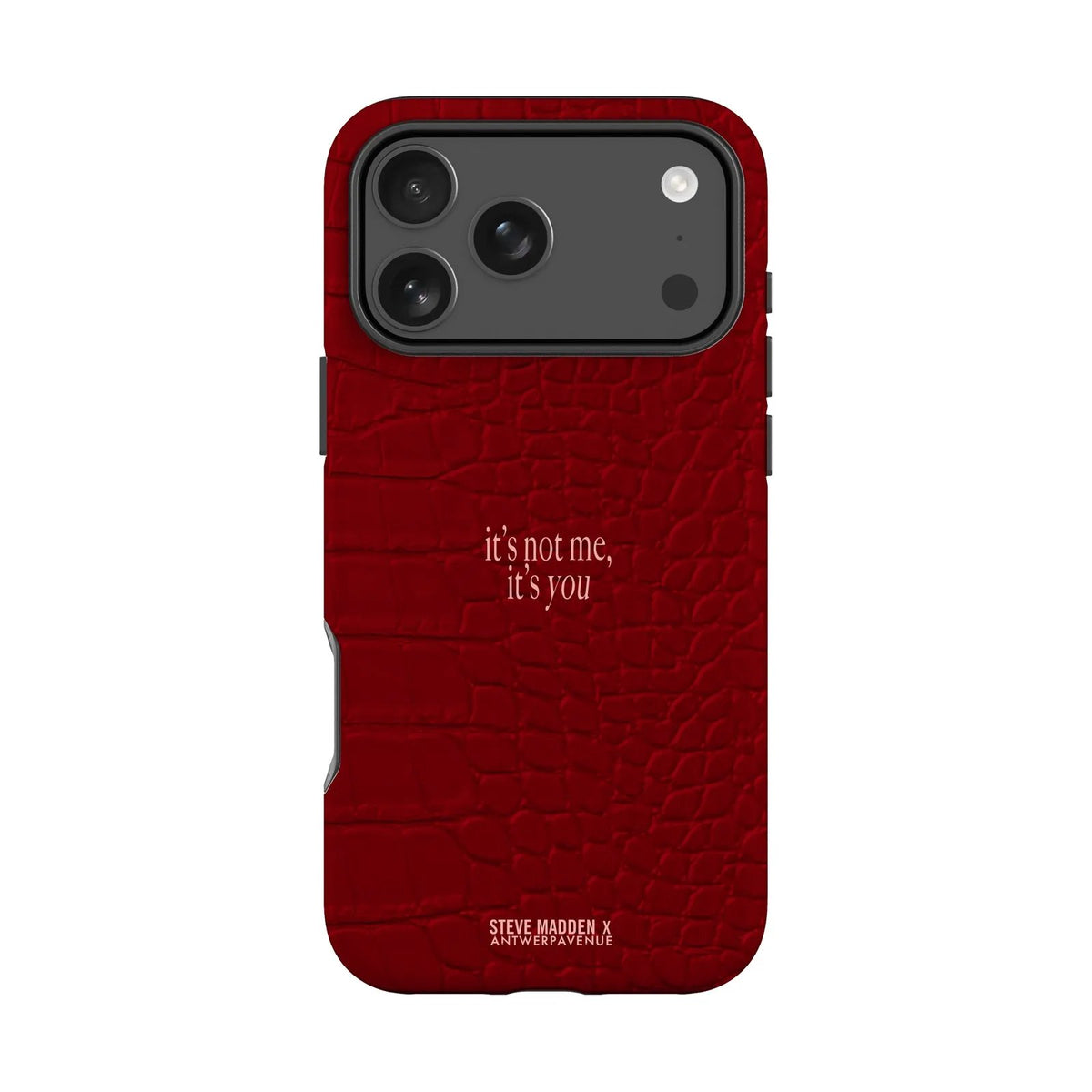 It's not me, it's you - Case - iPhone Pro mockup