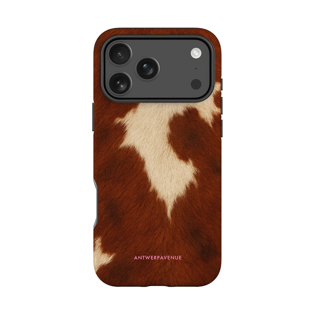 Cocoa Canyon - Case - iPhone Pro mockup
