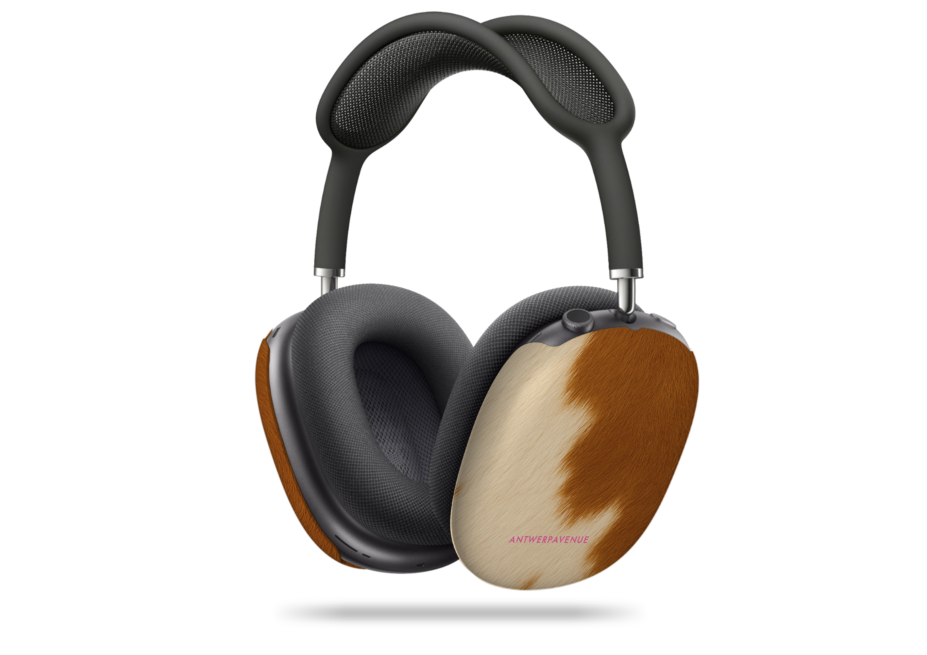 Golden Prairie AirPods Max Case