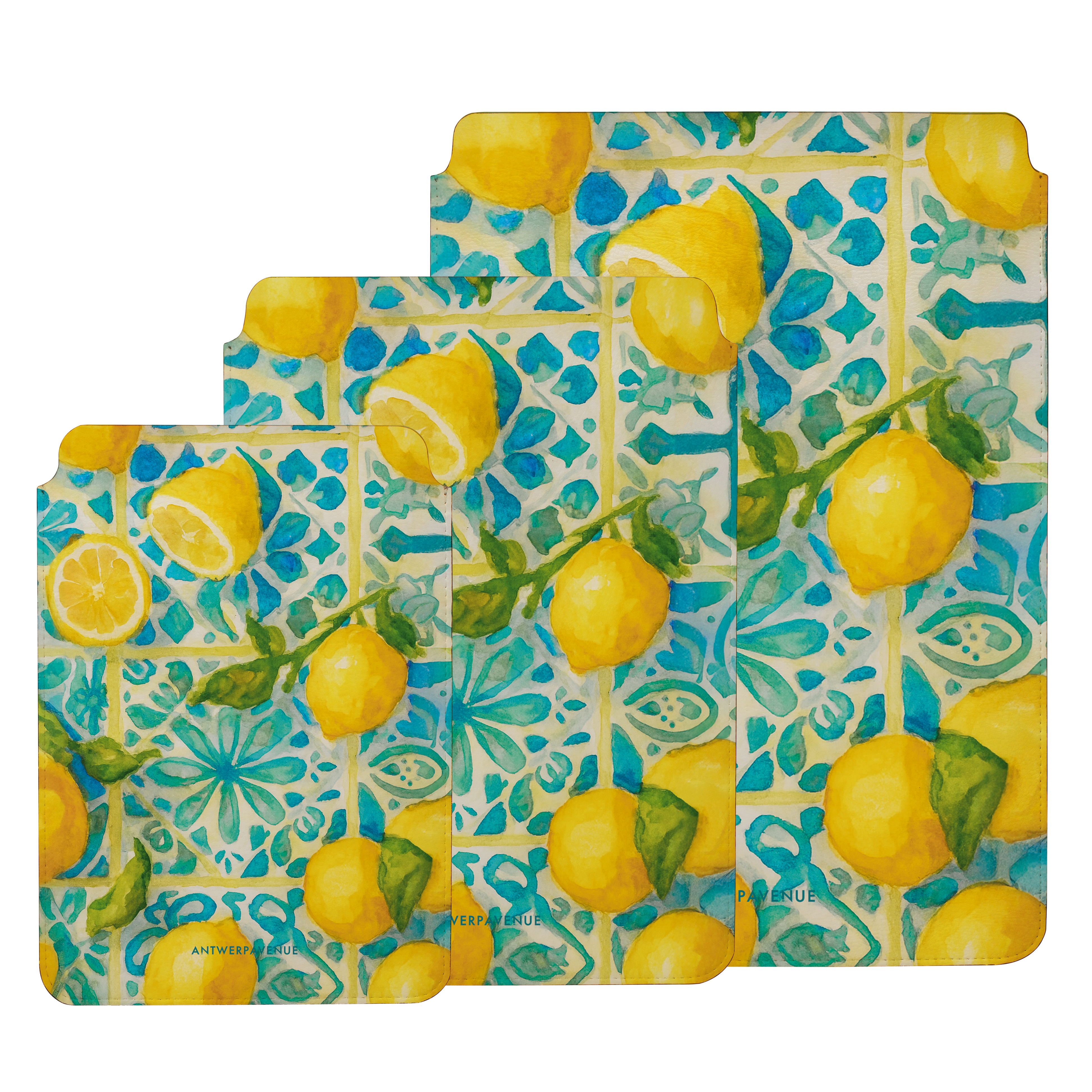 Villa Limone - Sleeve