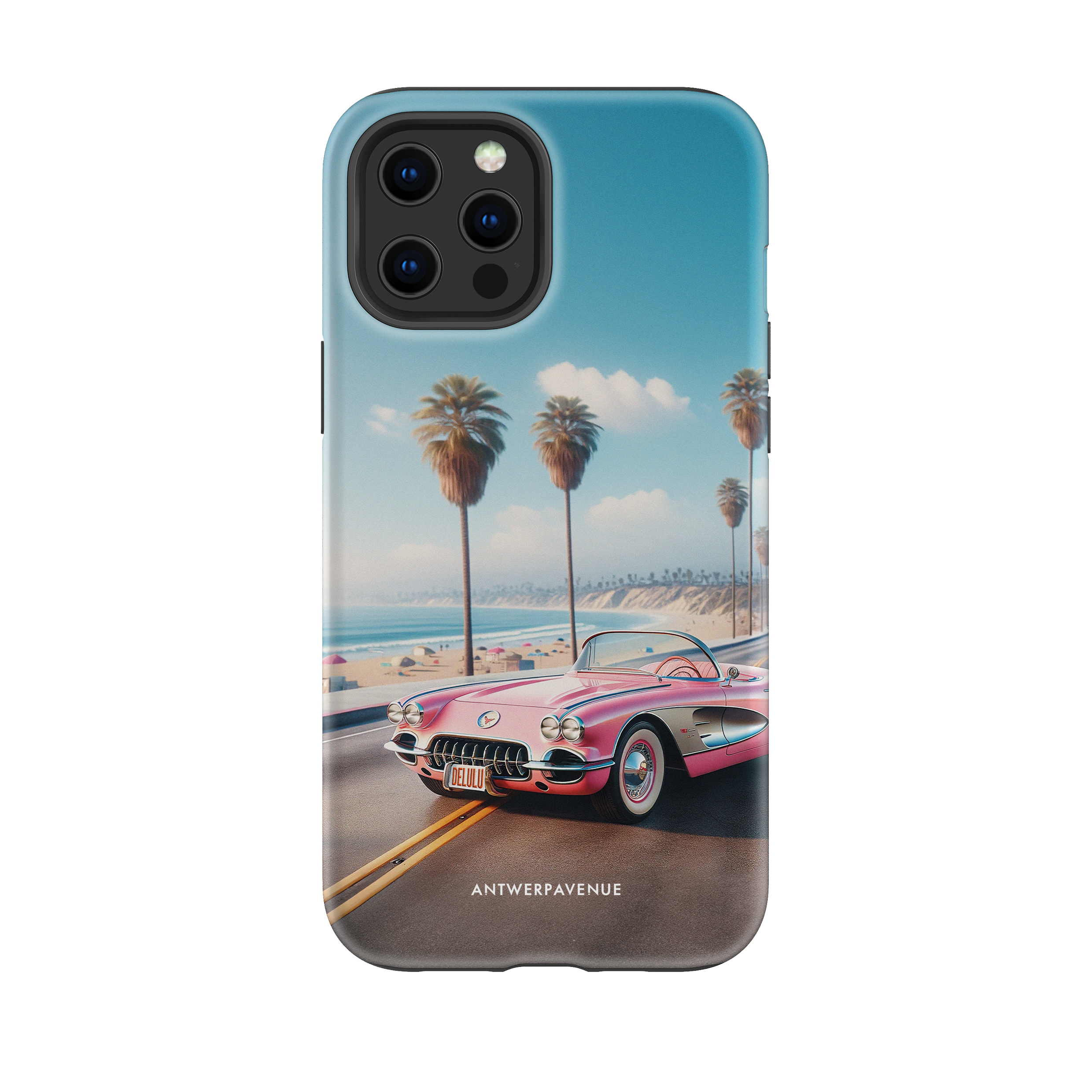 Driving Delulu - Case