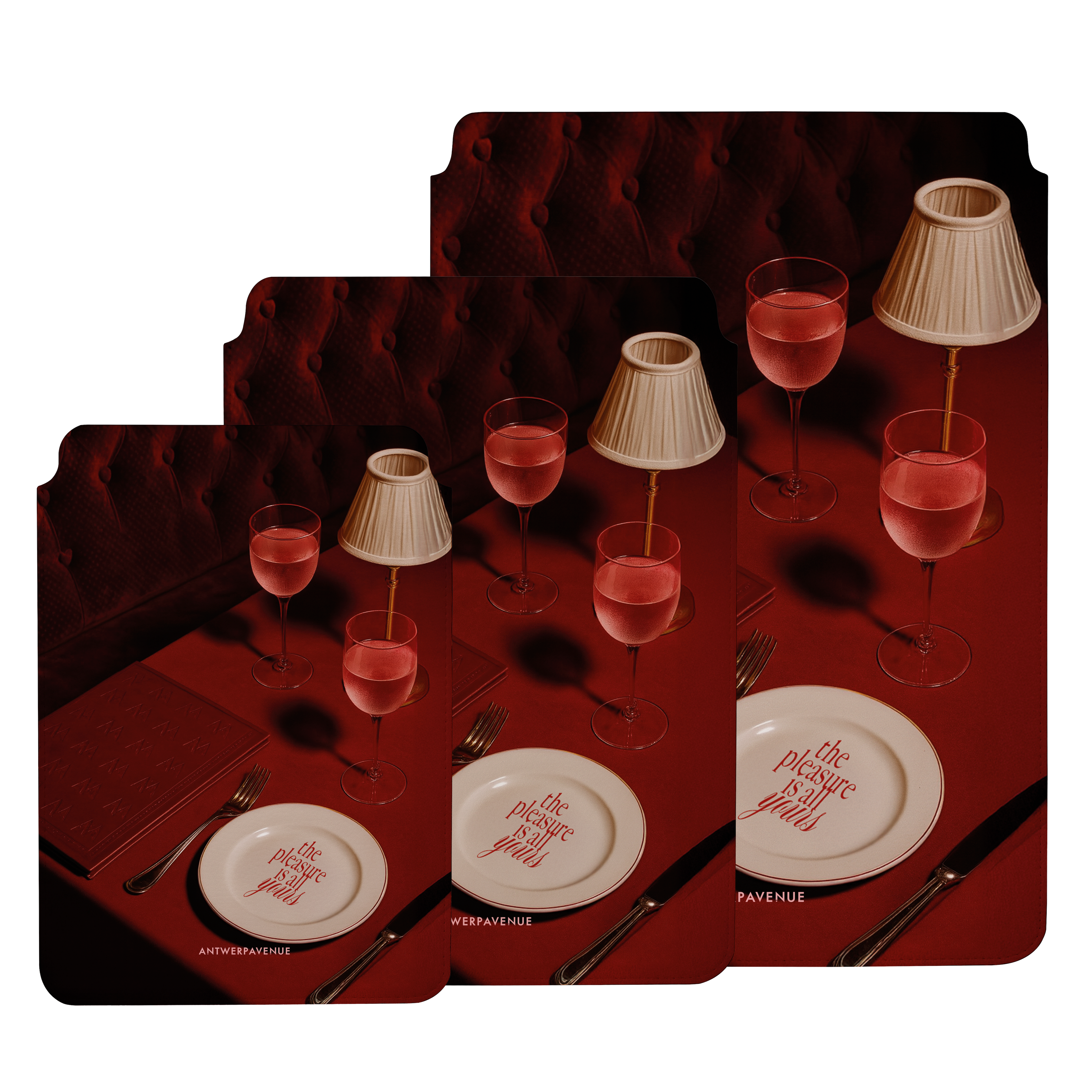 The pleasure is all yours - Sleeve